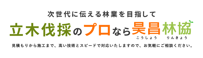 立木伐採のプロなら昊昌林協